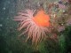 Thumbs/tn_SanJuan 034.jpg